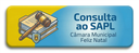 Consulta ao SAPL.png