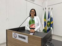 Vereadora propõe caminhão pipa para o Assentamento ENA e tem indicação aprovada