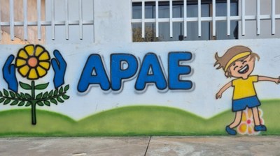 Câmara autoriza repasse de R$ 110 mil à Apae