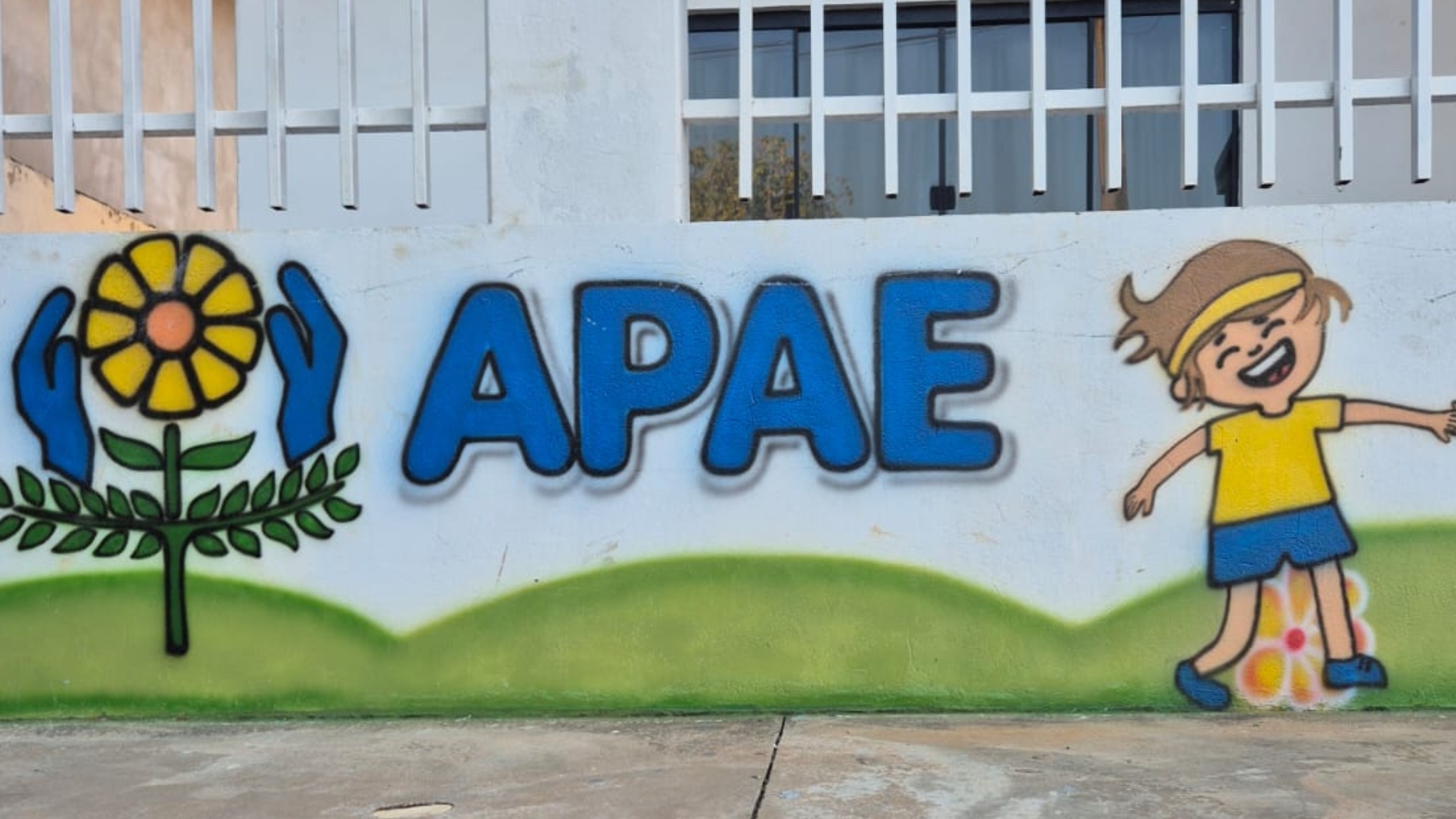 Câmara autoriza repasse de R$ 110 mil à Apae